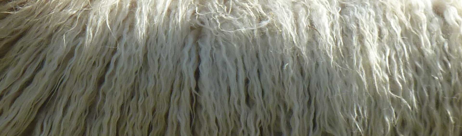 &nbsp;